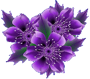 S_FloralPurpleflume.gif