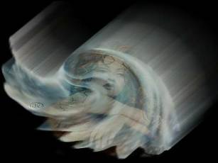 eseldiaeslmomento.jpg